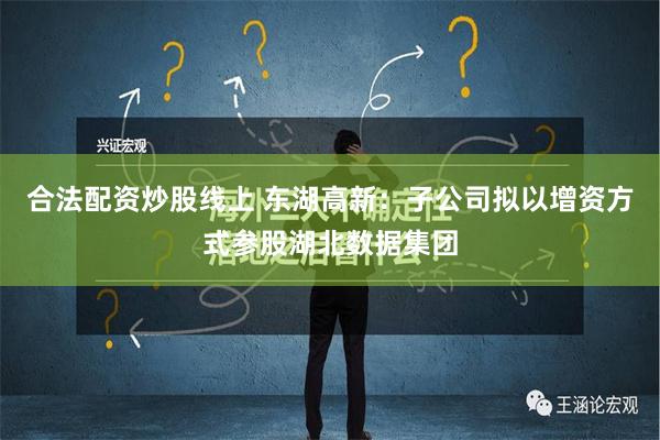 合法配资炒股线上 东湖高新：子公司拟以增资方式参股湖北数据集团