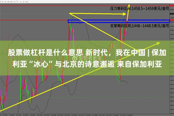 股票做杠杆是什么意思 新时代，我在中国 | 保加利亚“冰心”与北京的诗意邂逅 来自保加利亚