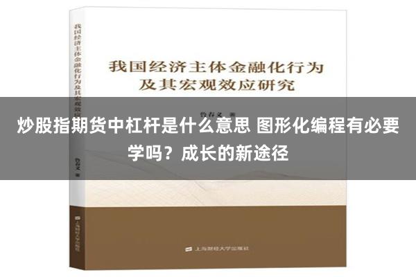 炒股指期货中杠杆是什么意思 图形化编程有必要学吗？成长的新途径