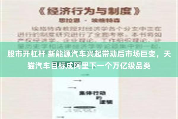 股市开杠杆 新能源汽车兴起带动后市场巨变，天猫汽车目标成阿里下一个万亿级品类