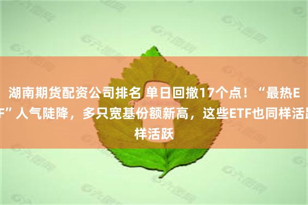 湖南期货配资公司排名 单日回撤17个点！“最热ETF”人气陡降，多只宽基份额新高，这些ETF也同样活跃