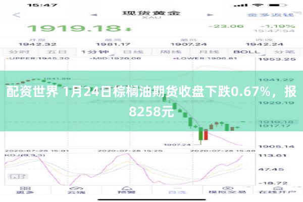 配资世界 1月24日棕榈油期货收盘下跌0.67%，报8258元