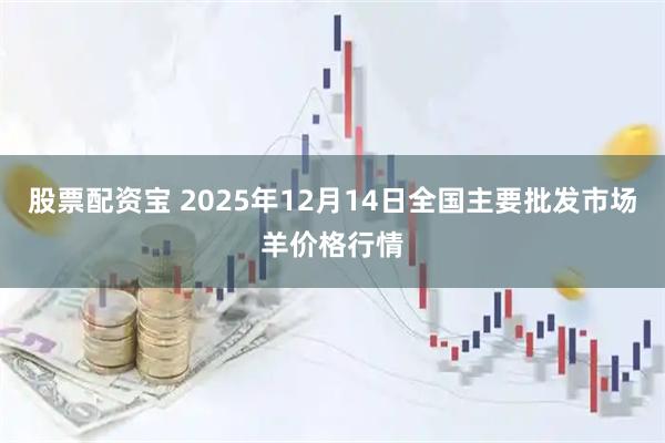 股票配资宝 2025年12月14日全国主要批发市场羊价格行情